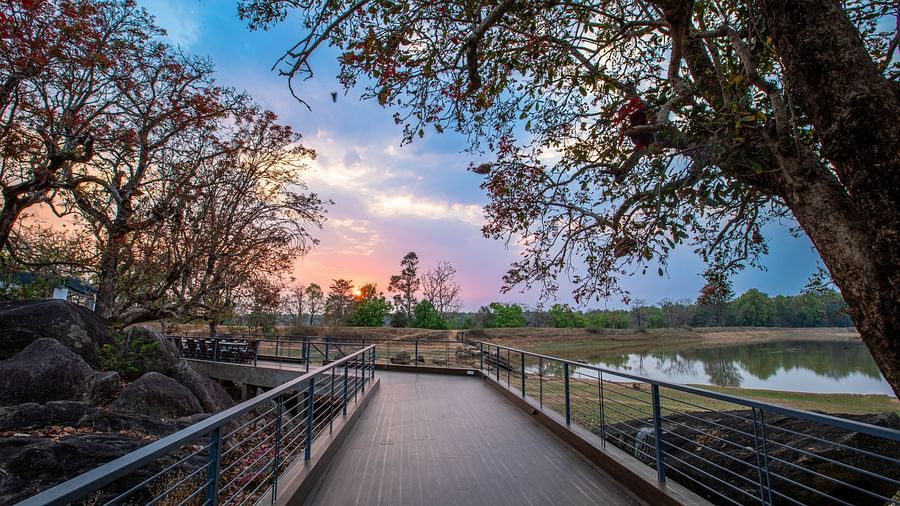 Riverwoods Kanha76