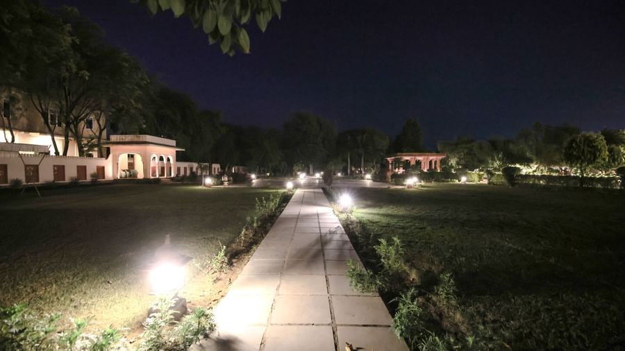 Garden Evening Shot-1