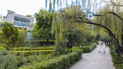 A curved pathway through a lush garden at The Golden Tusk, Jim Corbett