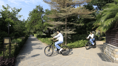 Two people riding bicycles on a paved path outdoors with trees and greenery at The Golden Tusk, Jim Corbett