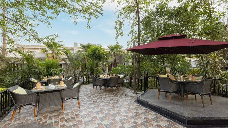 Jungle Grill Restaurant
