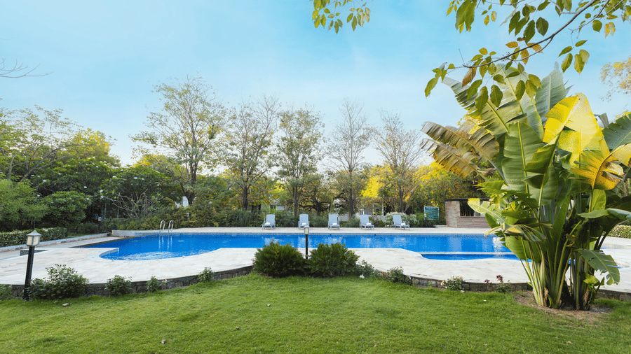 Golden Tusk Shoot- MG 69971.1