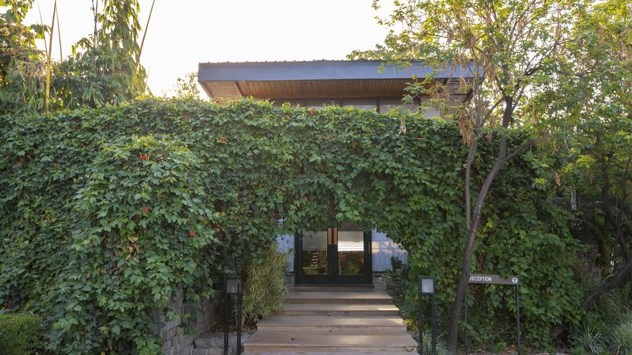 Reception entrance heavily covered by an arch of branches and foliage
