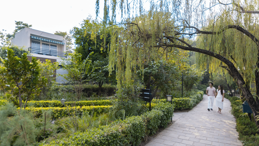 The Golden Tusk- MG 4545