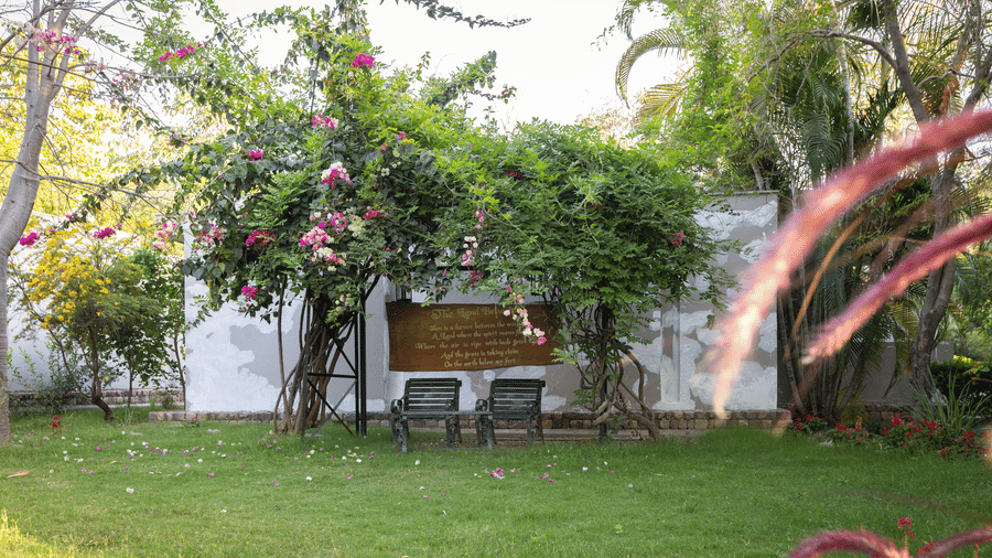 A lawn area with chairs at The Golden Tusk, Jim Corbett