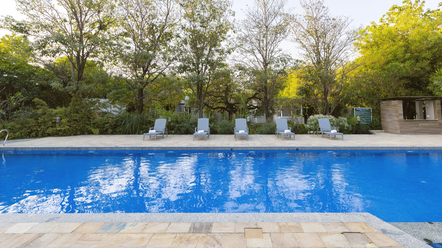 An outdoor infinity pool area with lounge chairs lined up along the stone deck, surrounded by trees at The Golden Tusk, Jim Corbett