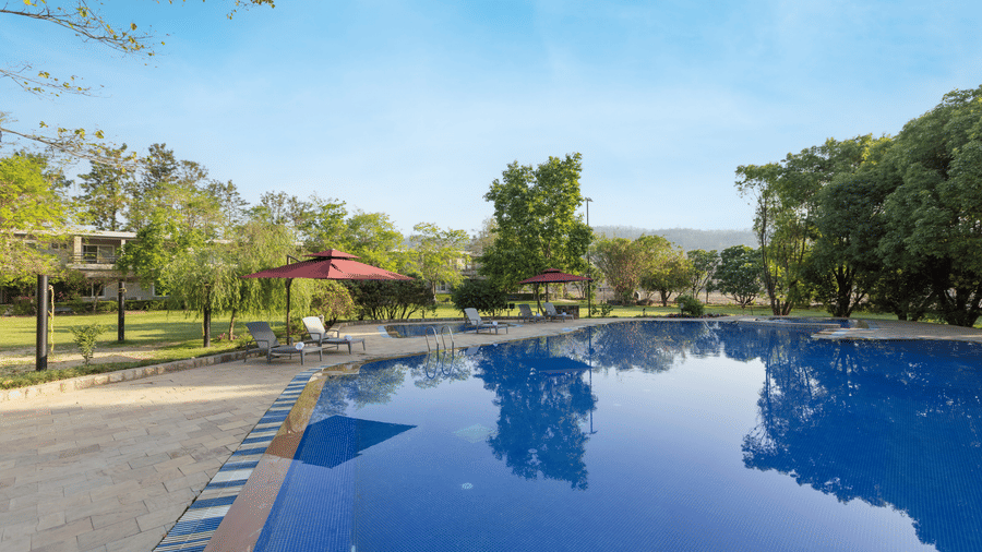  large outdoor swimming pool with trees and buildings in the background at The Golden Tusk, Jim Corbett