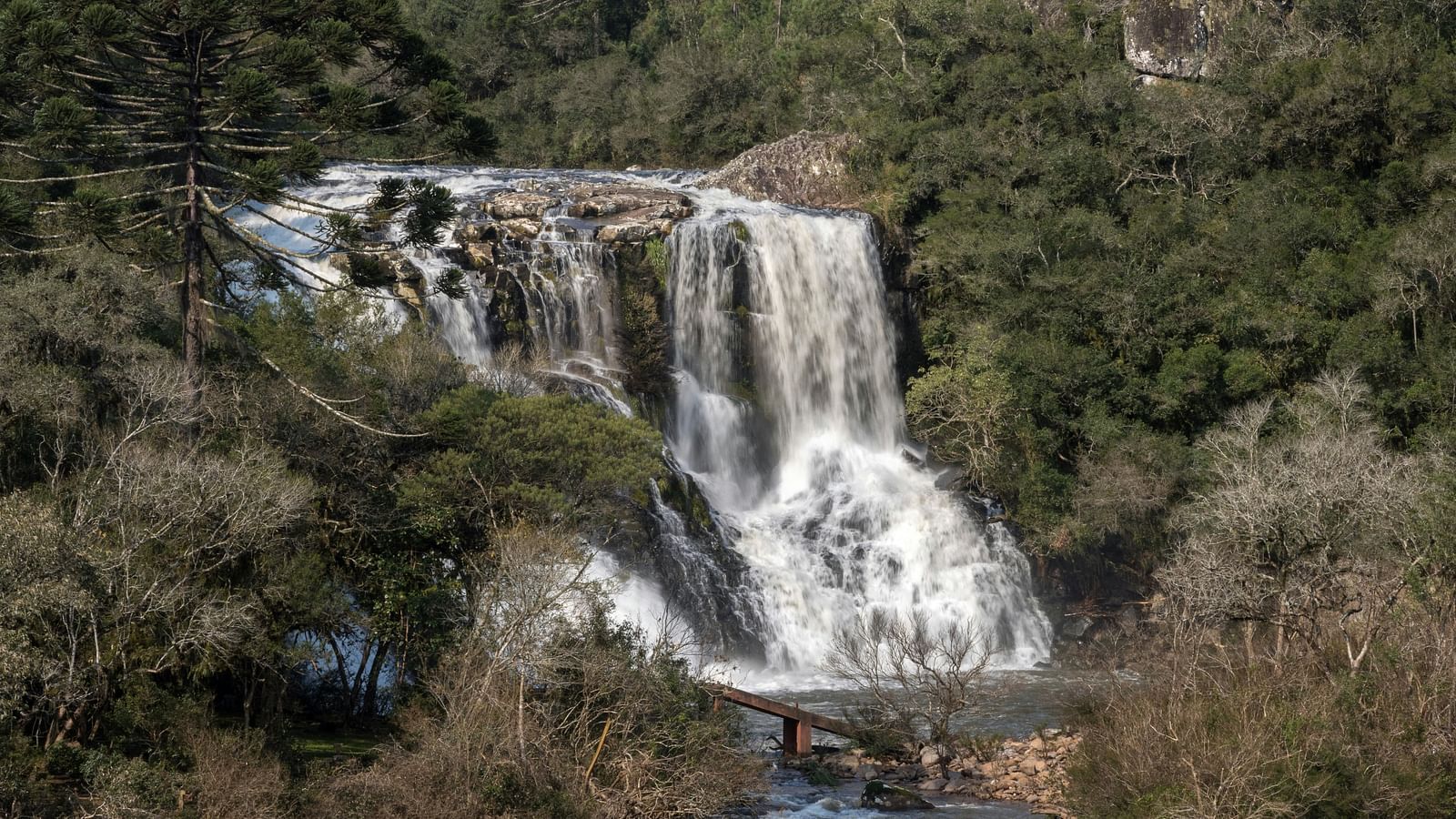 image of a serene waterfall with cascading streams of water amidst a lush green forest