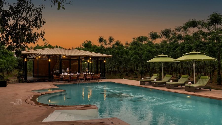 A huge swimming pool surrounded by sun loungers - Aalia Jungle Resort & Spa