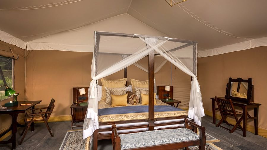 luxury king tents  with a pendant light hanging from the ceiling - Aalia Jungle Resort & Spa