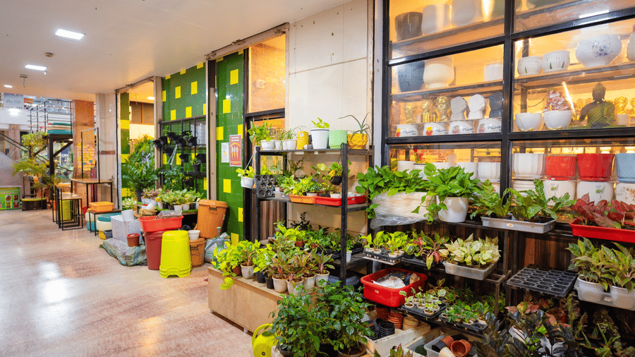Plant and decor shop inside a shopping mall with rows of potted plants, decorative pots, and ornamental figurines displayed on shelves.