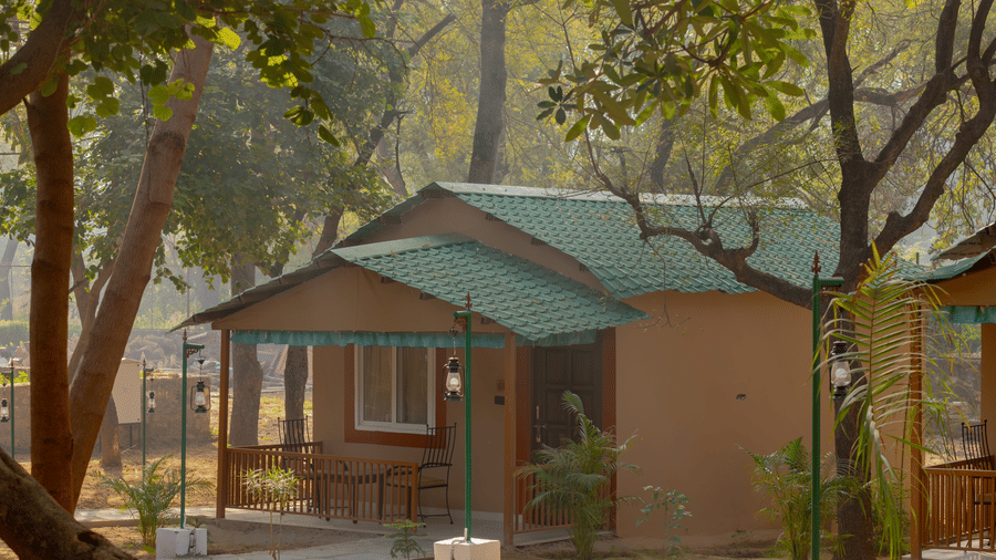 Front view of a single-storey cottage at Estherea Bagh, Ranthambore, with a green metal roof and a small porch, surrounded by mature trees.