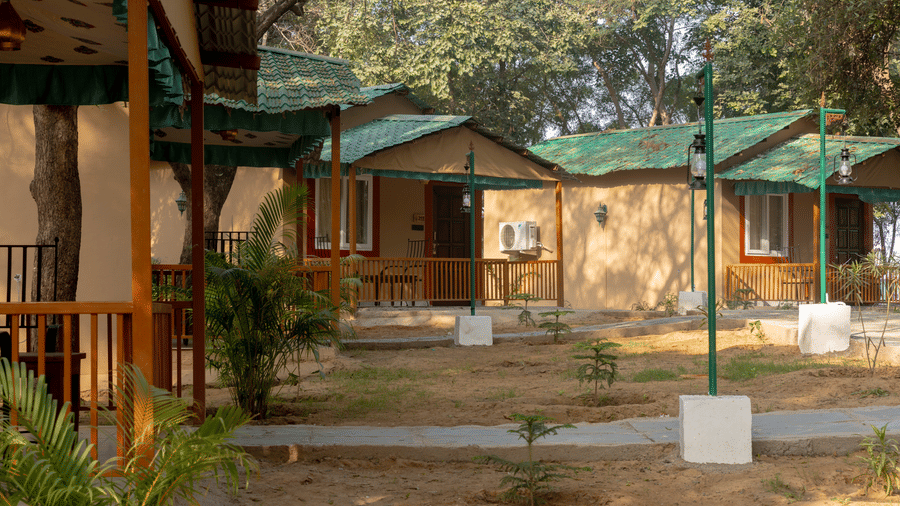 A row of several detached guest cottages with roofs and tan walls lining a walkway at Estherea Bagh, Ranthambore, among various trees.