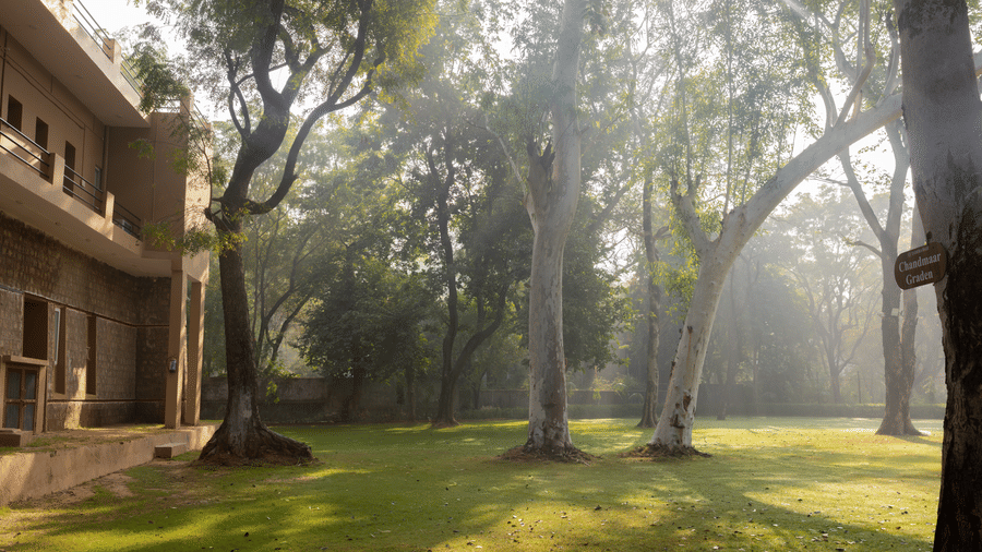 A sunlit garden area at Estherea Bagh, Ranthambore, showing a large lawn, tall trees, and the side of a multi-storey building.
