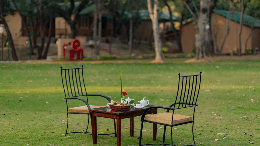 2 metal chairs and a small table set for tea on a large green lawn at Estherea Bagh, Ranthambore.