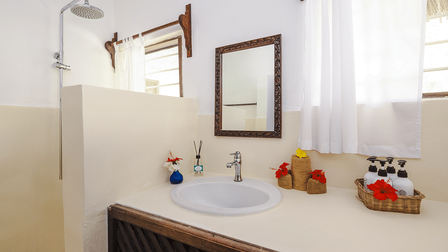 Interior view of a bathroom with a counter top and sink, a mirror, a shower, and a window with curtains - Shooting Star Boutique Hotel.