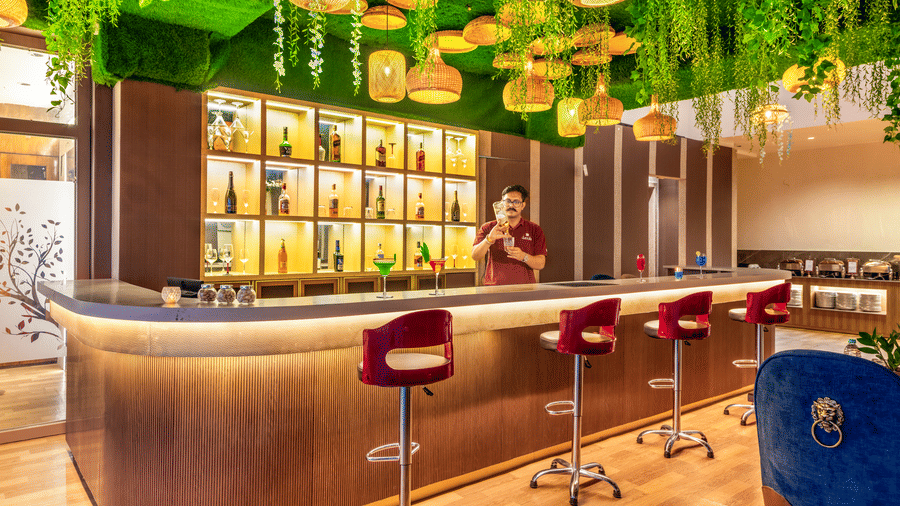 Wide-angle view of the bar lounge at Lords Inn Sangam, Bhopal with a wooden counter, bar stools, and lush green hanging ceiling decor.