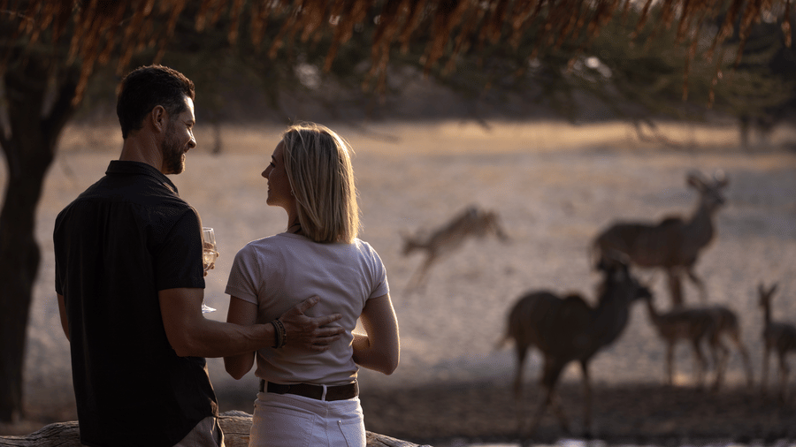 Couple watching zebra wildlife sighting at dusk at Evolve Back Kalahari
