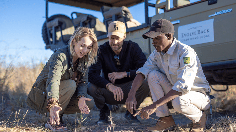 Expert tracker and guide reading animal signs in the Kalahari bush at Evolve Back resort