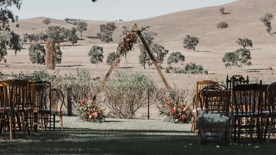 Safari