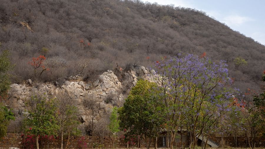4 - Landscape 3- Surya Bagh Ajabgarh