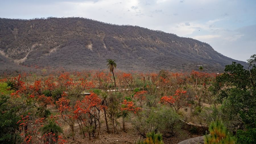 3 - Drone View - Ajabgarh Valley - Surya Bagh Ajabgarh.jpg