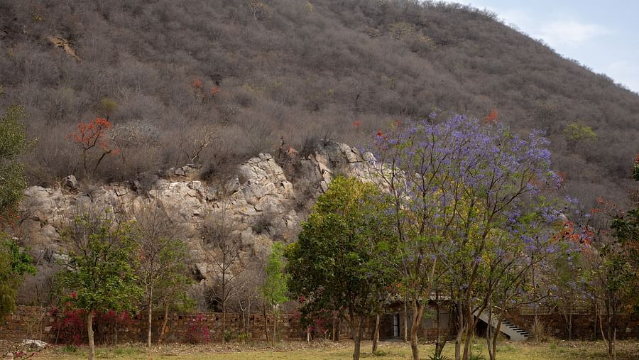 4 - Landscape 3- Surya Bagh Ajabgarh