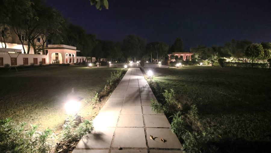 Garden Evening Shot-1