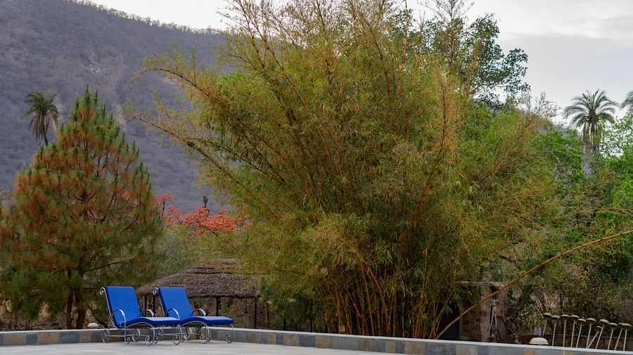 Surya Bagh Ajabgarh - Pool