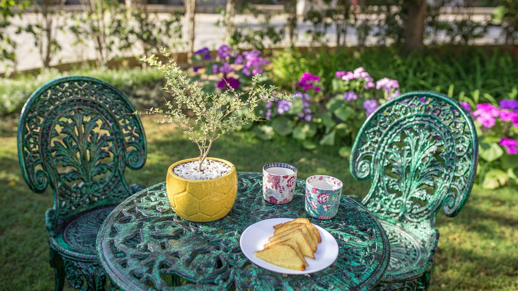drinks and snacks kept on a table on the lawn of Karma Lakelands.