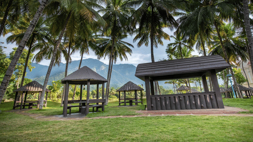 Wooden gazebos on a grassy lawn surrounded by tall palm trees, creating a peaceful outdoor seating area in a tropical garden - Black Thunder, Coimbatore