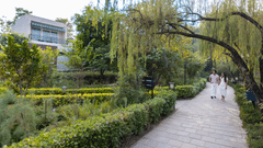 A curved pathway through a lush garden at The Golden Tusk, Jim Corbett