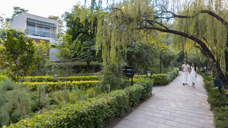 A curved pathway through a lush garden at The Golden Tusk, Jim Corbett