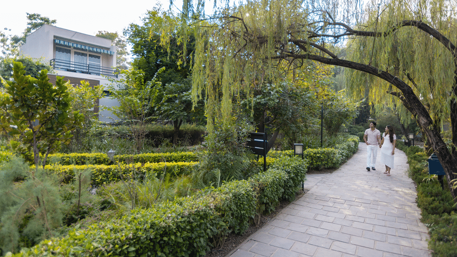 A curved pathway through a lush garden at The Golden Tusk, Jim Corbett