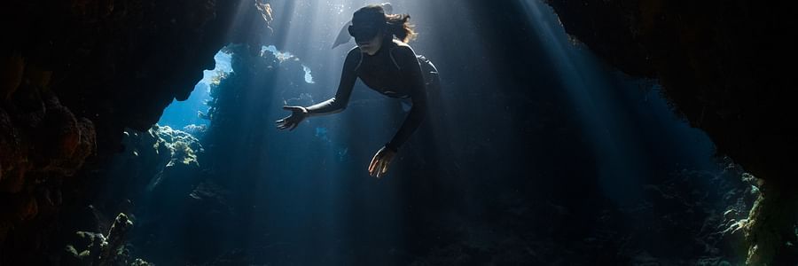 A person scuba diving and looking at the ground with the sun shining from up above
