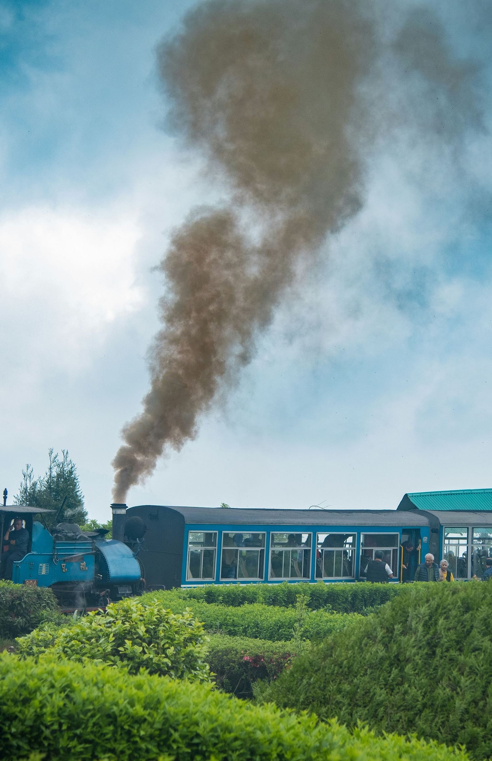 An image of a train moving near a tea plantation