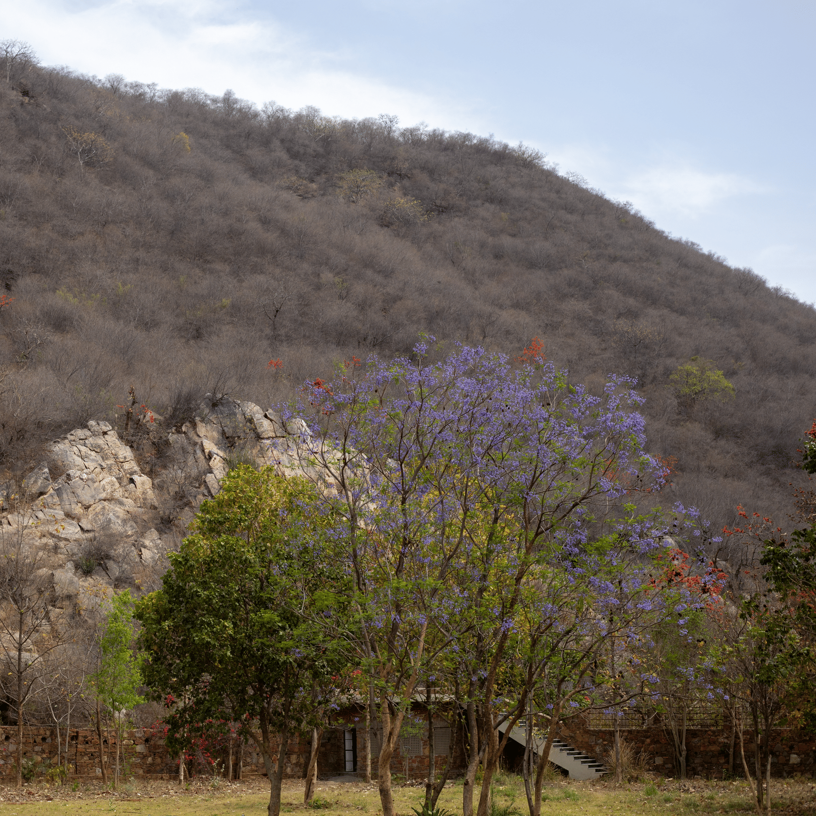 4 - Landscape 3- Surya Bagh Ajabgarh