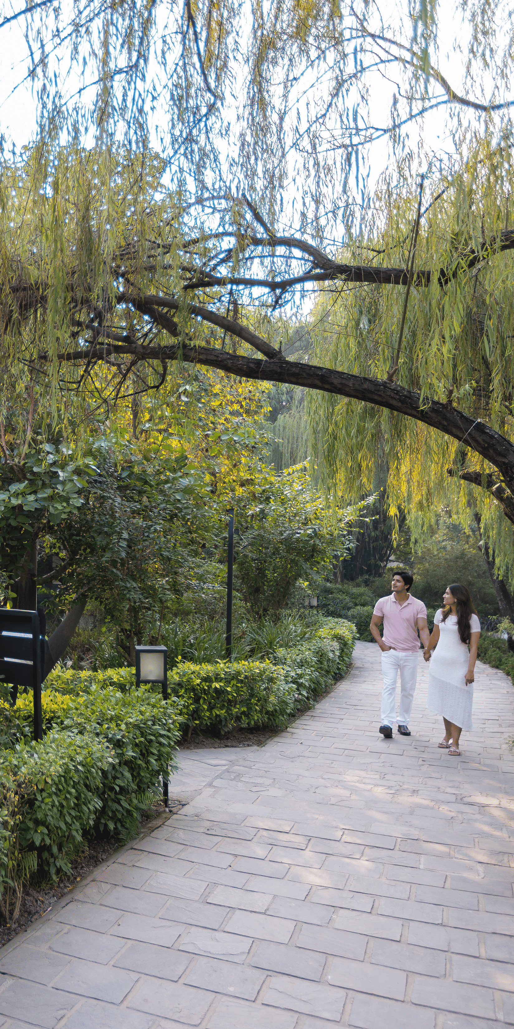 A curved pathway through a lush garden at The Golden Tusk, Jim Corbett