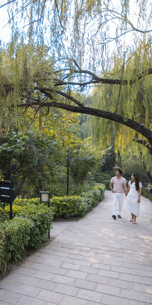 A curved pathway through a lush garden at The Golden Tusk, Jim Corbett