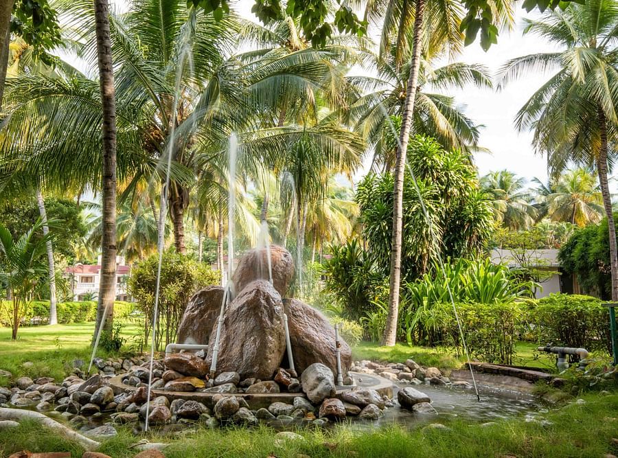 Lush garden area with tall coconut trees and a decorative stone fountain in the centre, surrounded by greenery - Black Thunder, Coimbatore