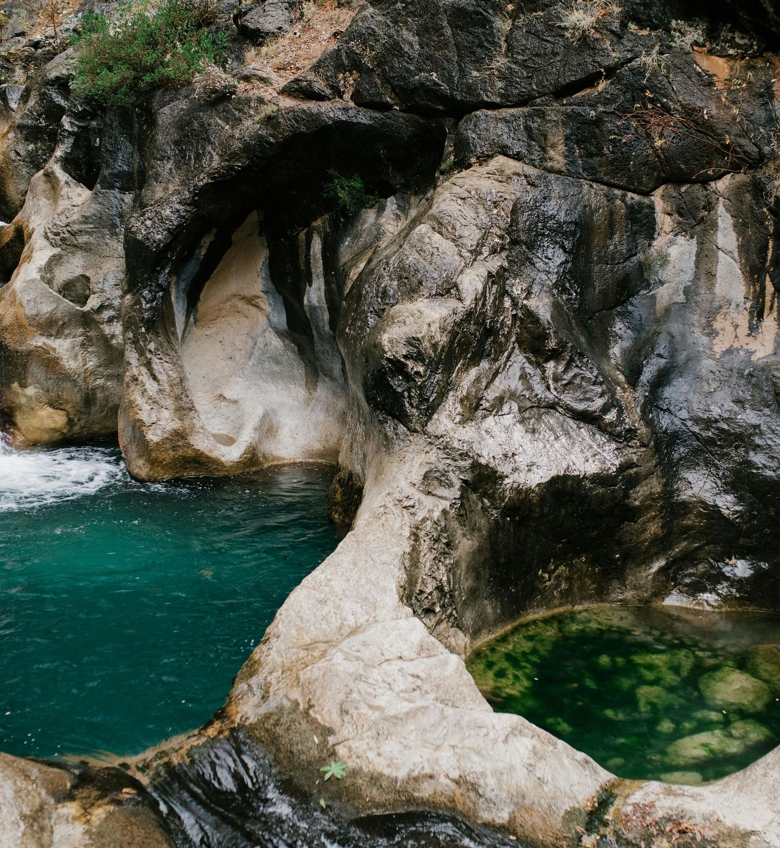 Waterfall view | Mango Hill, Yercaud