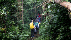 A group of people carrying backpacks walking along a narrow trail through a dense forest.