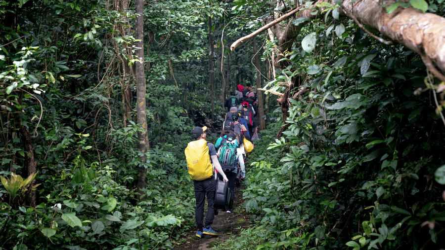 A group of people carrying backpacks walking along a narrow trail through a dense forest.