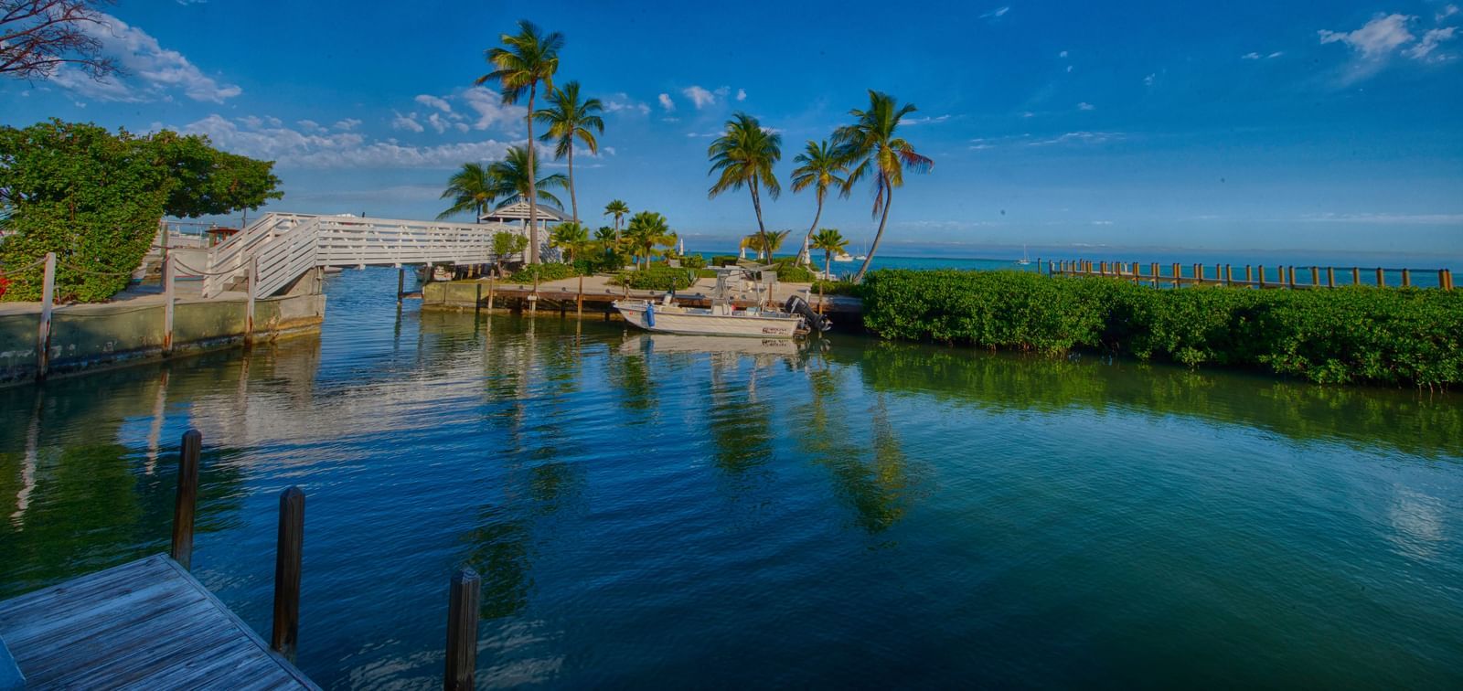 Waterfront view at Casa Morada with palm trees, calm waters, and a small structure on the shore.