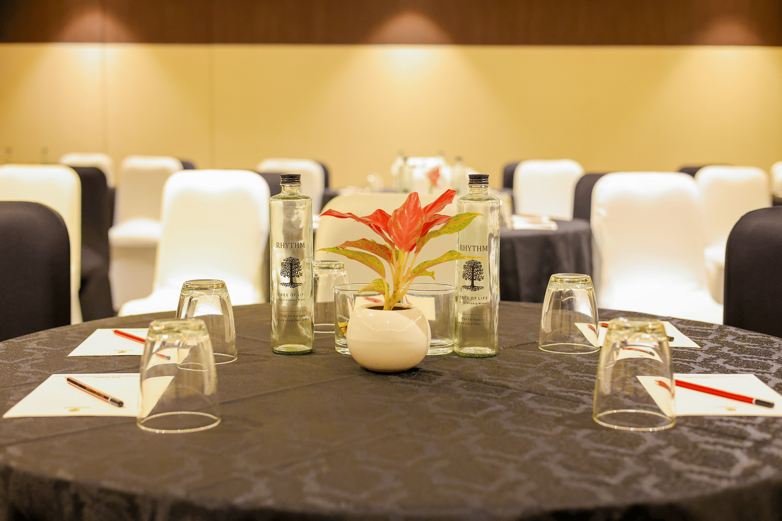 Aravalli 1 2nd Floor Banquet Generic