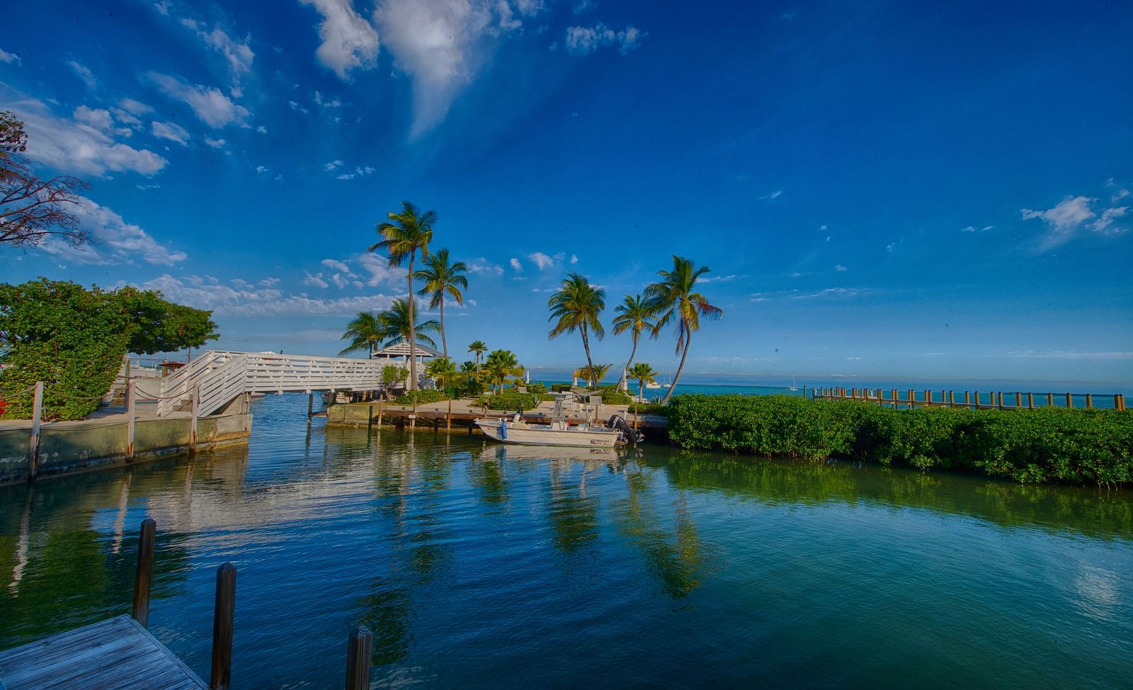 Waterfront view at Casa Morada with palm trees, calm waters, and a small structure on the shore.