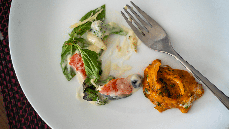 Overhead view of a plate with salad on the side, and food, with a fork on the side - Hotel Udai Median, Udaipur.