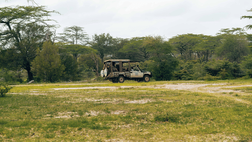 A safari going through a wildlife sanctury with travellers in it.