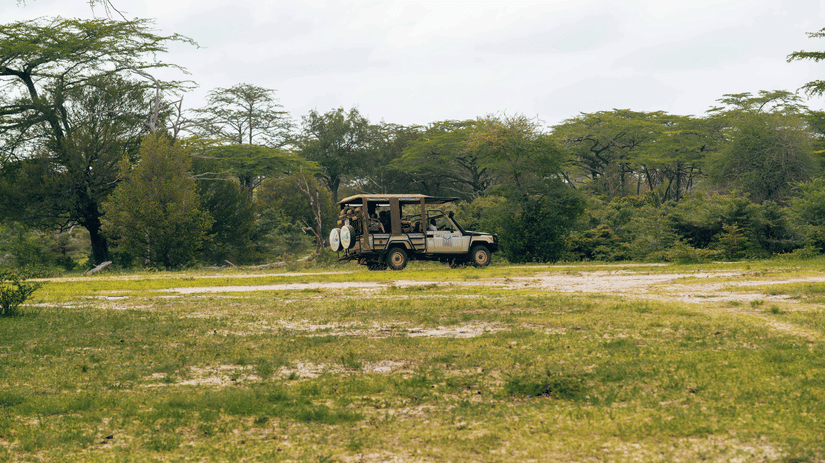 A safari going through a wildlife sanctury with travellers in it.
