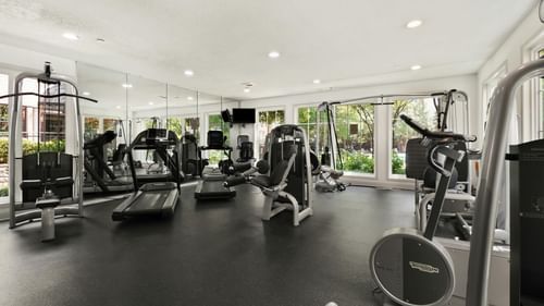 A spacious gym with equipment arranged neatly and brightly illuminated lighting.